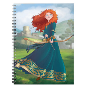 Carnet Merida   Faisons ceci