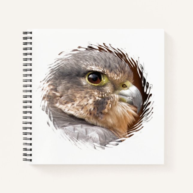 CARNET MERLIN FALCON OISEAU DE PREY (Devant)