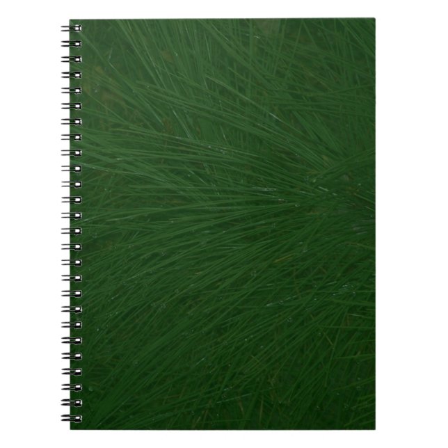 Carnet Merry Christmas Pine Tree Close (Devant)
