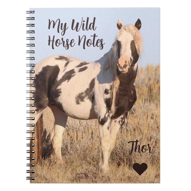 Carnet Mes notes de cheval sauvage Thor (Devant)