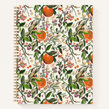 Mexican Spring Garden