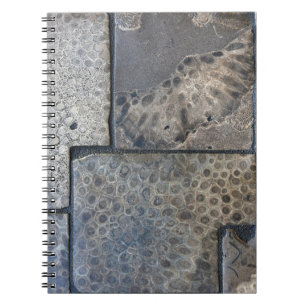 Carnet Michigan Petoskey Stone