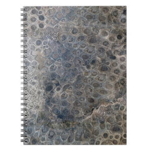 Carnet Michigan Petoskey Stone Motif