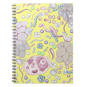 Carnet Microbiologie En Jaune