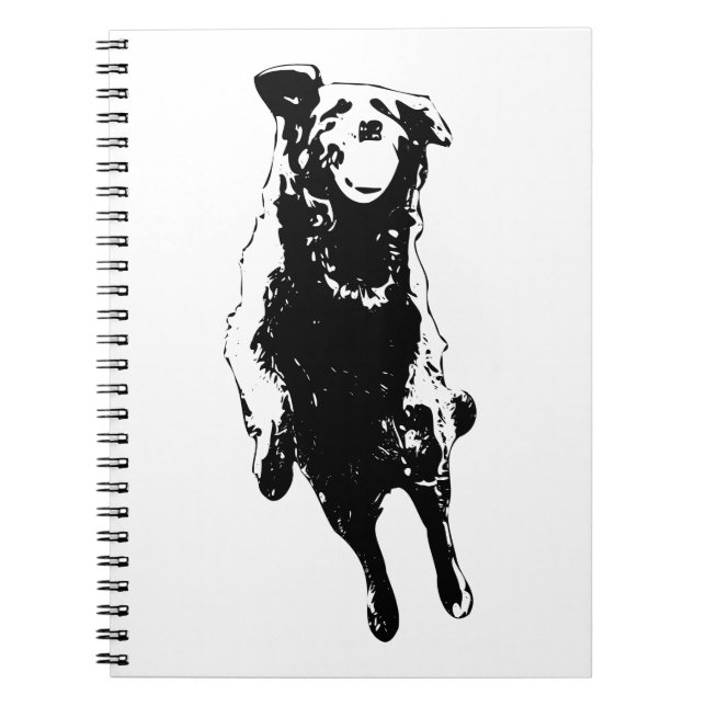 Carnet Mid-leap delight (Devant)