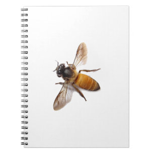 Carnet Miel Bee