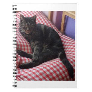 Carnet mignon Dave Spiral