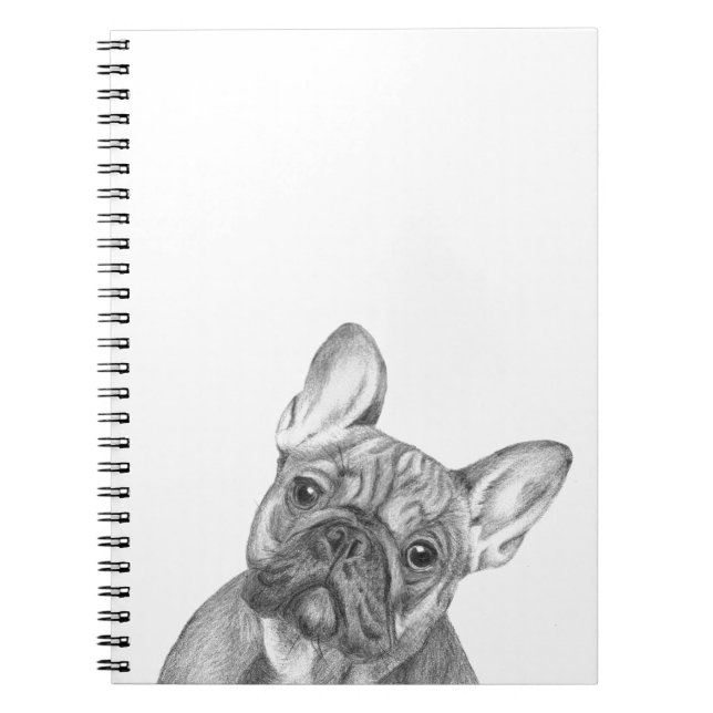 Carnet mignon de bouledogue français (Devant)