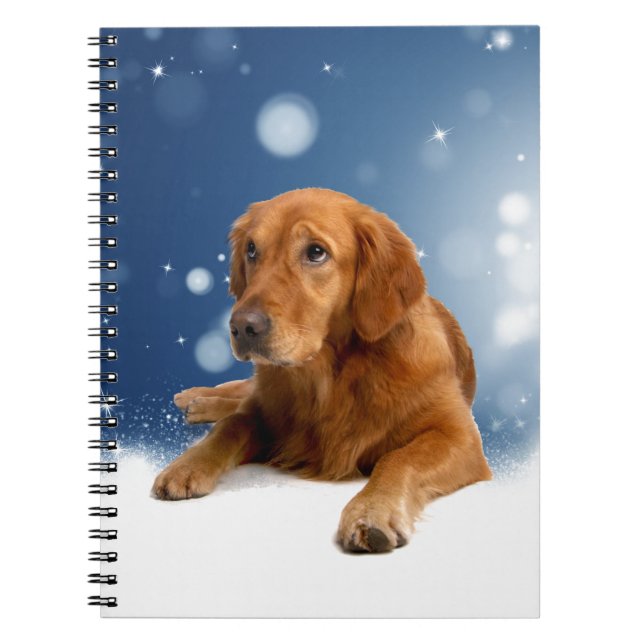 Carnet Mignonne Golden Retriever Chien assis dans les éto (Devant)