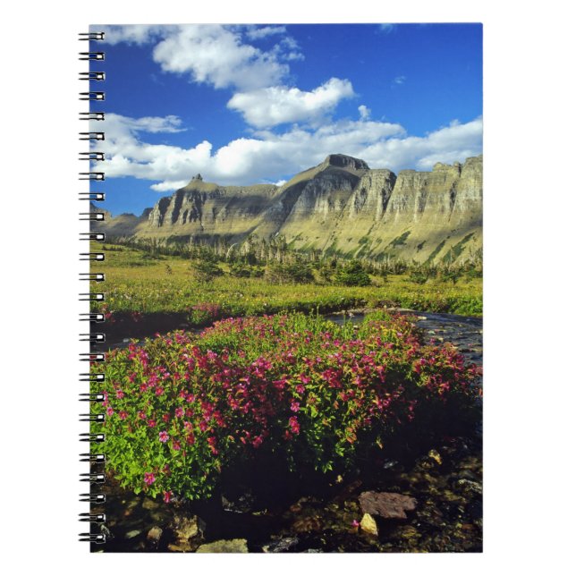 Carnet Mimulus de Logan Pass dans le parc national de Gla (Devant)