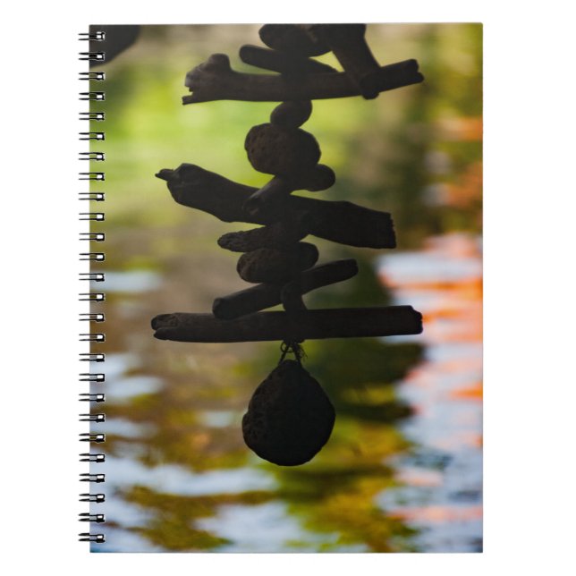 Carnet Mindful Driftwood Reflections Notebook (Devant)