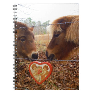 Carnet Miniature Donkey & Horse Valentine Heart