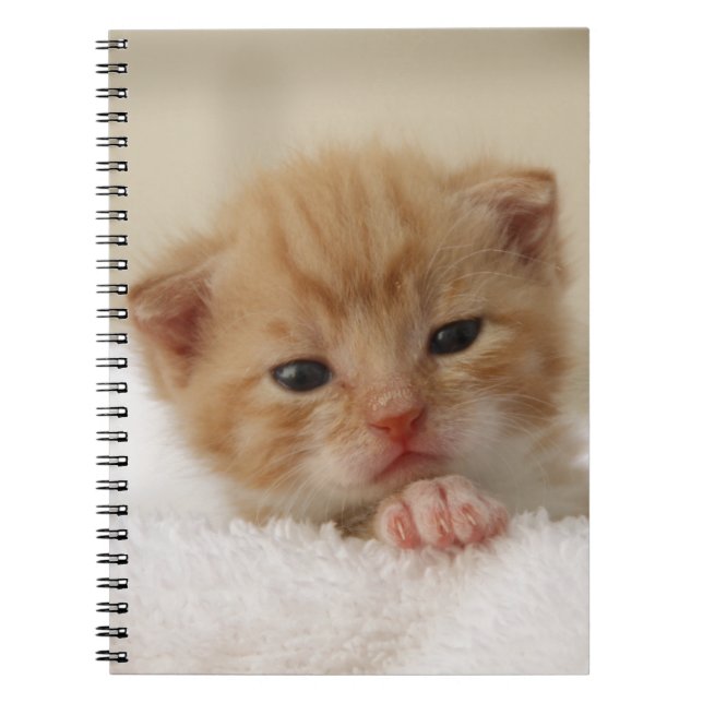 Carnet Minou doux de chiot (Devant)