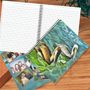 Carnet Mismaloya Pelicans Photo À Faire 0329