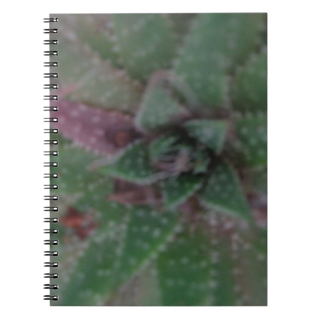 Carnet Misty Succulent, vert pourpre, Nature, Flora Plant (Devant)