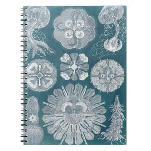 Carnet Modèle IV de vie marine