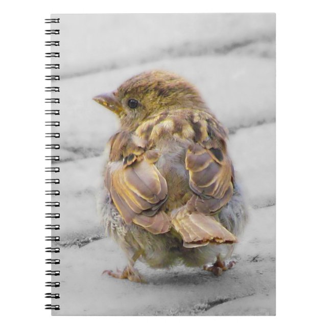 Carnet Moineau Brown (Devant)