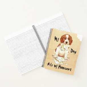 Carnet Mon espagnol Welsh Springer Mange mes devoirs
