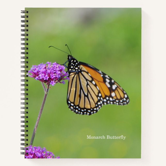 Carnet Monarch Butterfly (Devant)