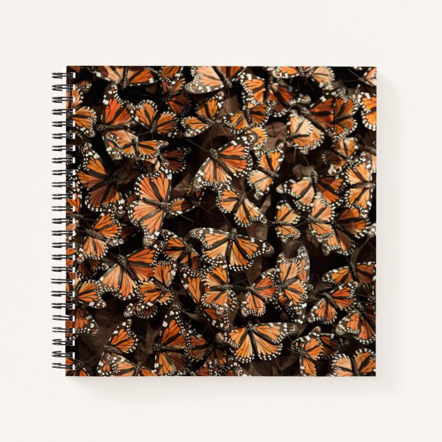 Carnet Monarque Butterflies (Devant)