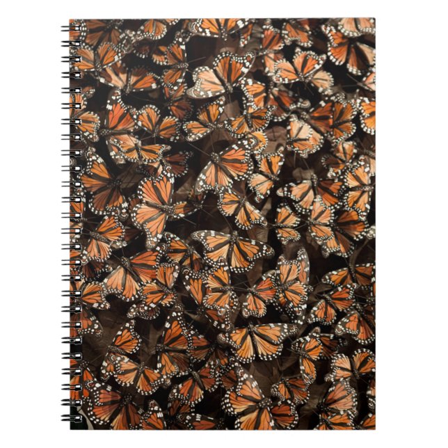 Carnet Monarque Butterflies (Devant)