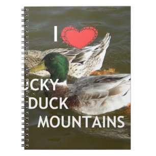 Carnet Montagnes de canards.