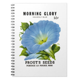 Carnet Morning Glory Vintage Seed Packet