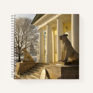 Carnet Moscou. Hiver. sculpture de lions.