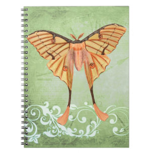 Carnet Moth soie africaine