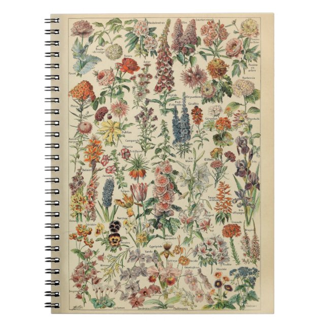 Carnet Motif Adolphe Millot Fleurs (Devant)