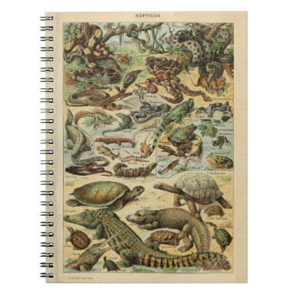 Carnet Motif Adolphe Millot Reptile