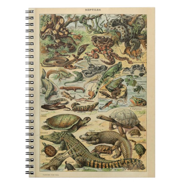 Carnet Motif Adolphe Millot Reptile (Devant)