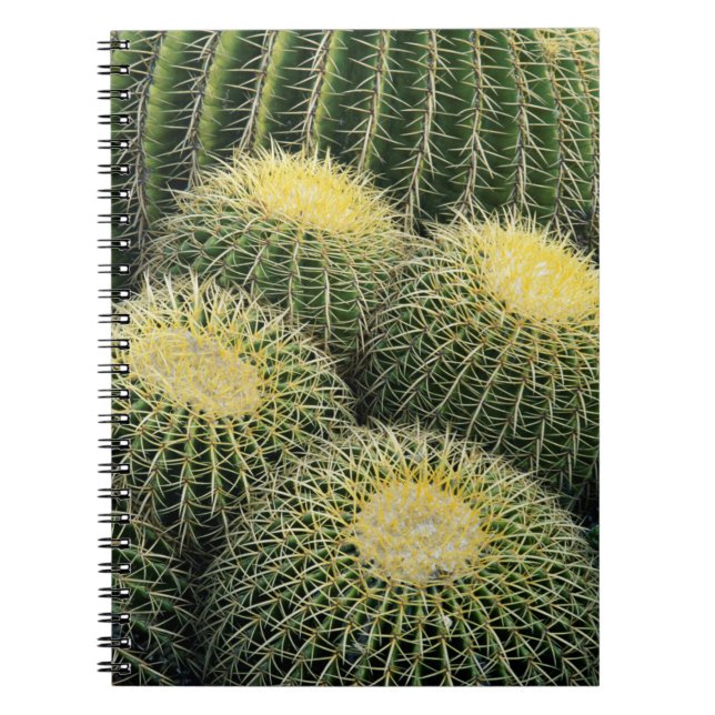 Carnet Motif de cactus (Devant)