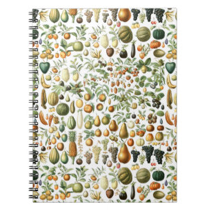 Carnet Motif de fruits de l'Adolphe Millot