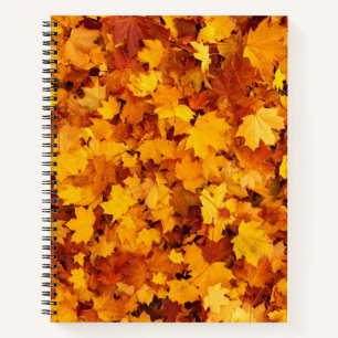 Carnet Motif Feuille d'Érable-25877