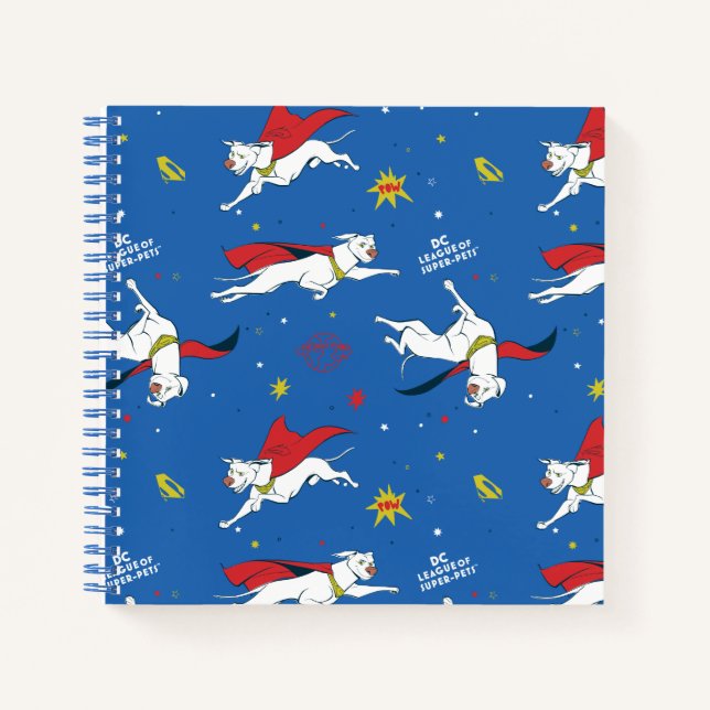 Carnet Motif volant Krypto (Devant)