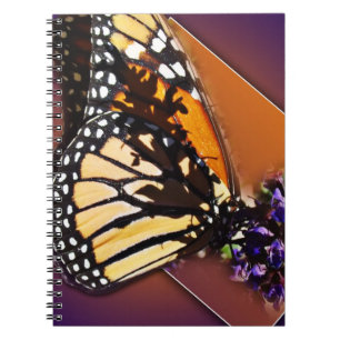 Carnet mou d'ailes