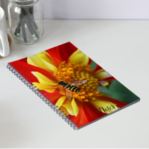 Carnet Mouche volante sur Dahlia orange et jaune