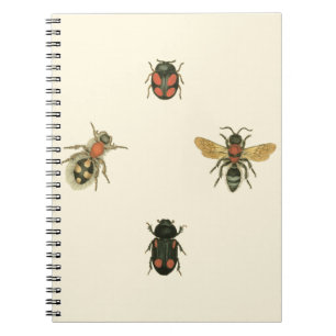 Carnet Mouches et scarabées par le studio de vision