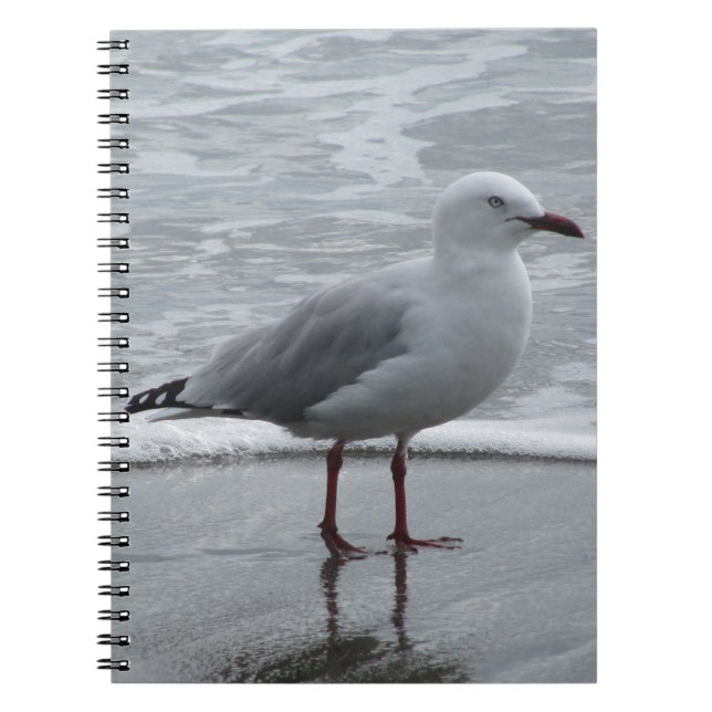 Carnet Mouette au bord de la mer (Devant)