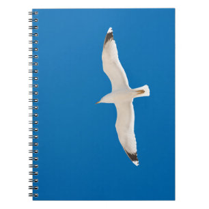 Carnet Mouette volante