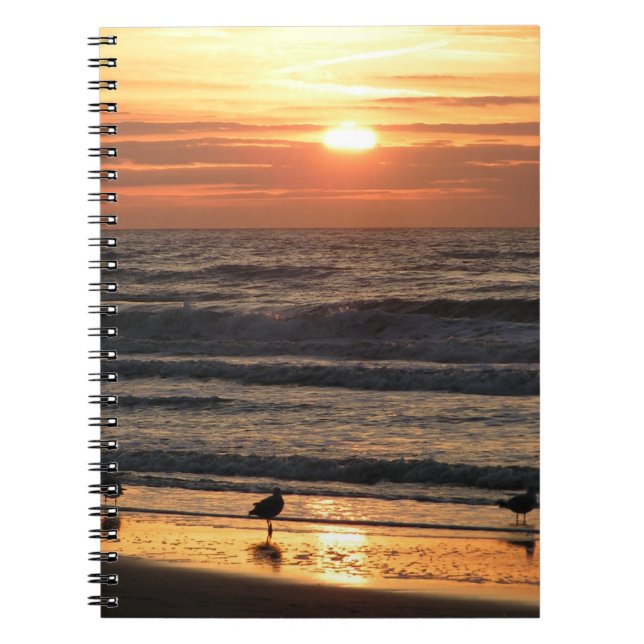 Carnet Mouettes au bord de la mer au coucher du soleil (Devant)