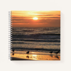 Carnet Mouettes au bord de la mer au coucher du soleil