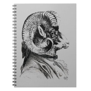 Carnet Mouflons d'Amérique dans le costume