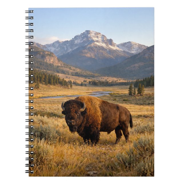 Carnet Mountain Landscape American Bison (Devant)