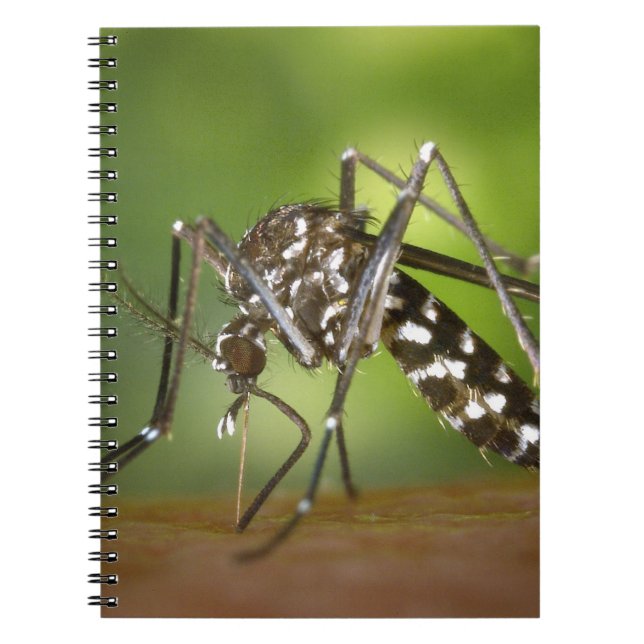 Carnet Moustique tigre (Devant)