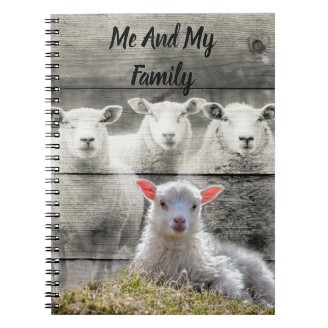 Carnet Mouton d'agneau de bébé (Devant)