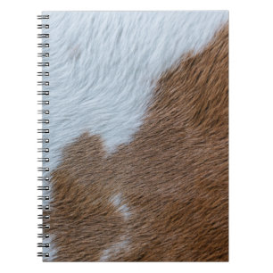 Carnet Moyen-siècle