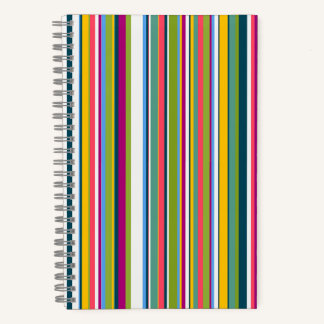 Carnet Multicolour Vertical Striped notebook 