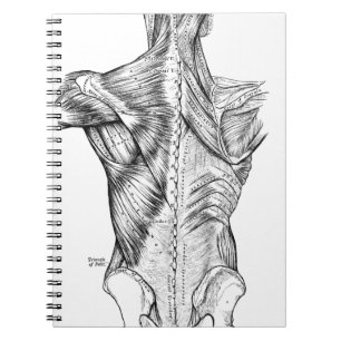 Carnet Muscles du dos d'art noir et blanc d'anatomie